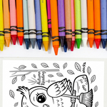 Kids Coloring Book Bundle